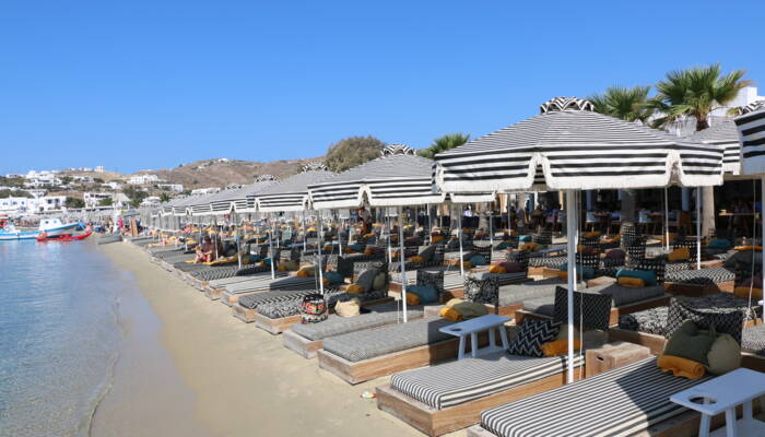 REMI_Sunshades (1) REMI_Sunshades (1)